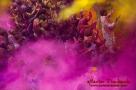 Une photo de la galerie HOLI